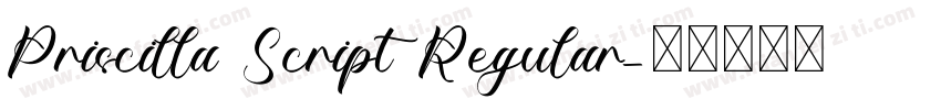 Priscilla Script Regular字体转换